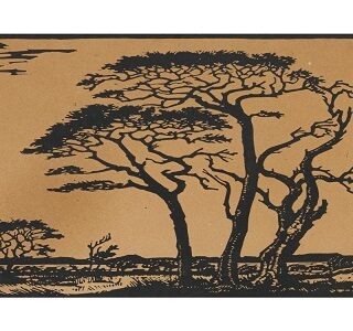 Jacob Hendrik Pierneef; South African 1886-1957; Kameeldorings, Springbokvlakte