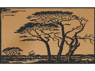 Jacob Hendrik Pierneef; South African 1886-1957; Kameeldorings, Springbokvlakte