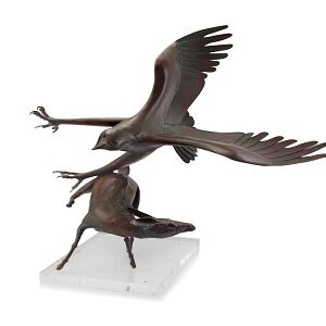 Robin Lewis; South African Raptor Attack