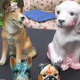 4 Porcelain / glass Dogs