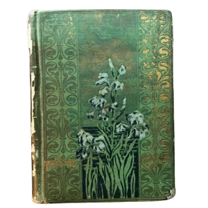 Rare_1890_Edition_of_Tales_From_Shakespeare_by_Charles_and_Mary_Lamb_H.M._Caldwell_Co._Publishers__New_York_and_Boston value